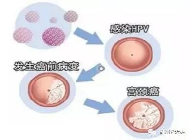 1568942323166073.jpg 4.jpg