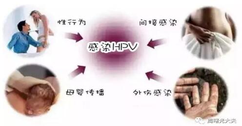 1568942331796026.jpg 5.jpg