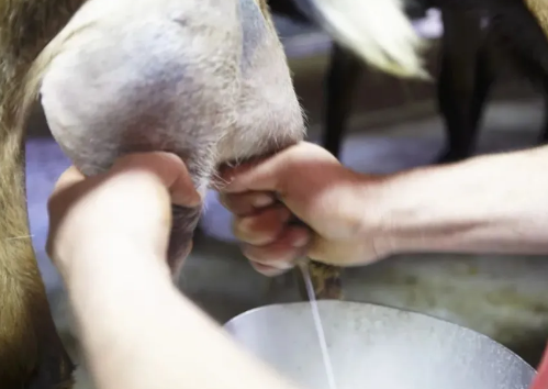 1737444421469073.png 1.png