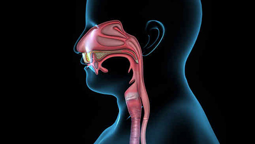 舌咽神經(jīng)痛
