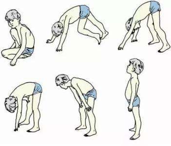 強直性肌營養(yǎng)不良癥