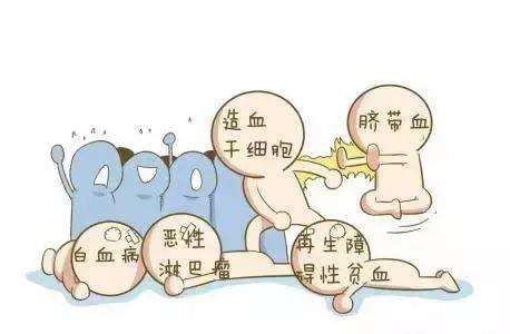 造血干細胞移植