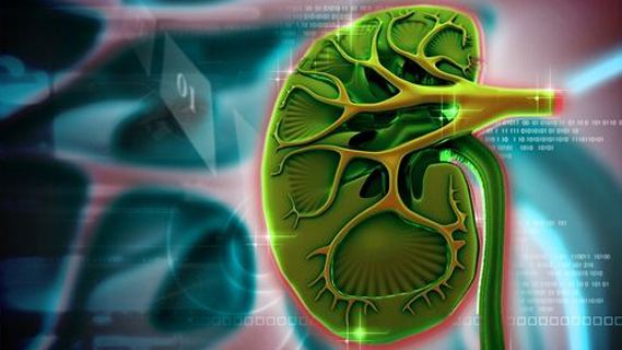 間質(zhì)性腎炎