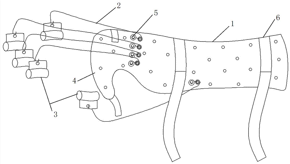 橈神經(jīng)損傷