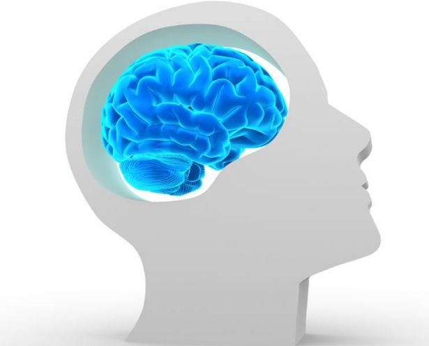 顱內(nèi)膽脂瘤