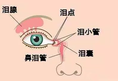 眼腫瘤