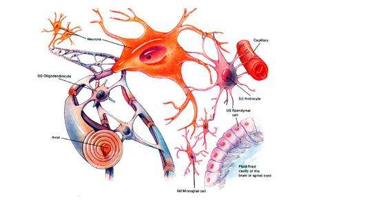 視神經(jīng)腫瘤