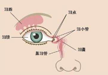 淚腺炎
