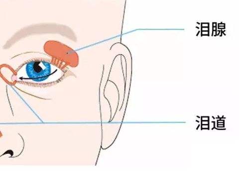 淚道阻塞