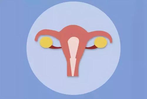 細(xì)菌性陰道炎