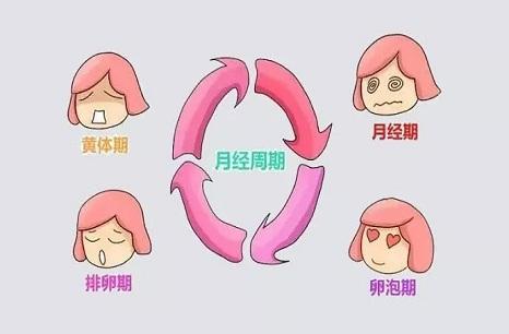 月經(jīng)期