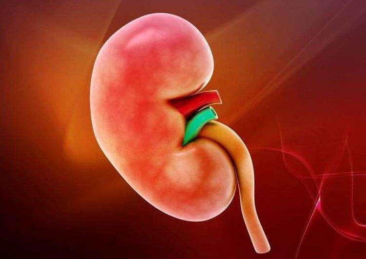 小兒乙型肝炎病毒相關(guān)腎炎