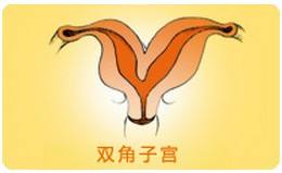 雙角子宮