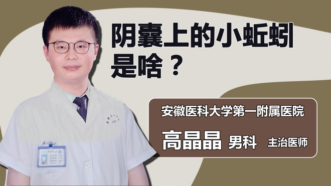 陰囊上的小蚯蚓是啥？