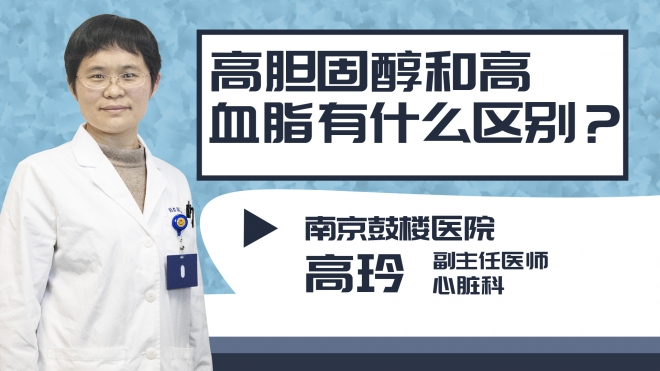 高膽固醇和高血脂有什么區(qū)別?