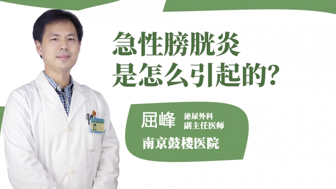 急性膀胱炎是怎么引起的?