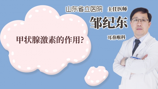 甲狀腺激素的作用?